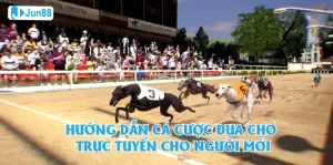 Môn cá độ đua chó trực tuyến là gì?